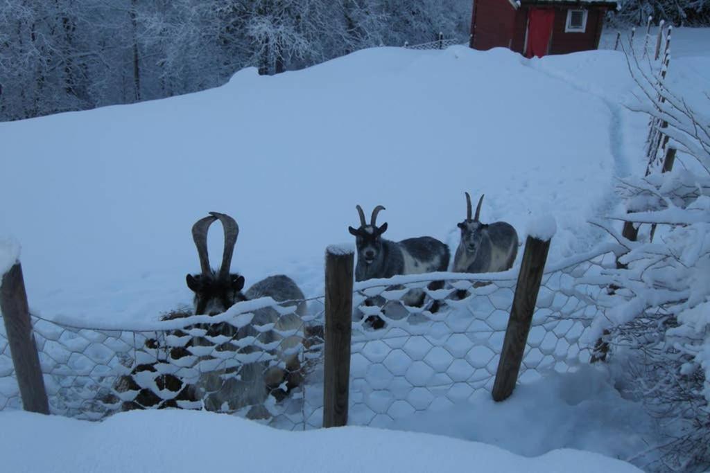 Lonevåg Skjerping Gardshus, 빌라 외부 사진