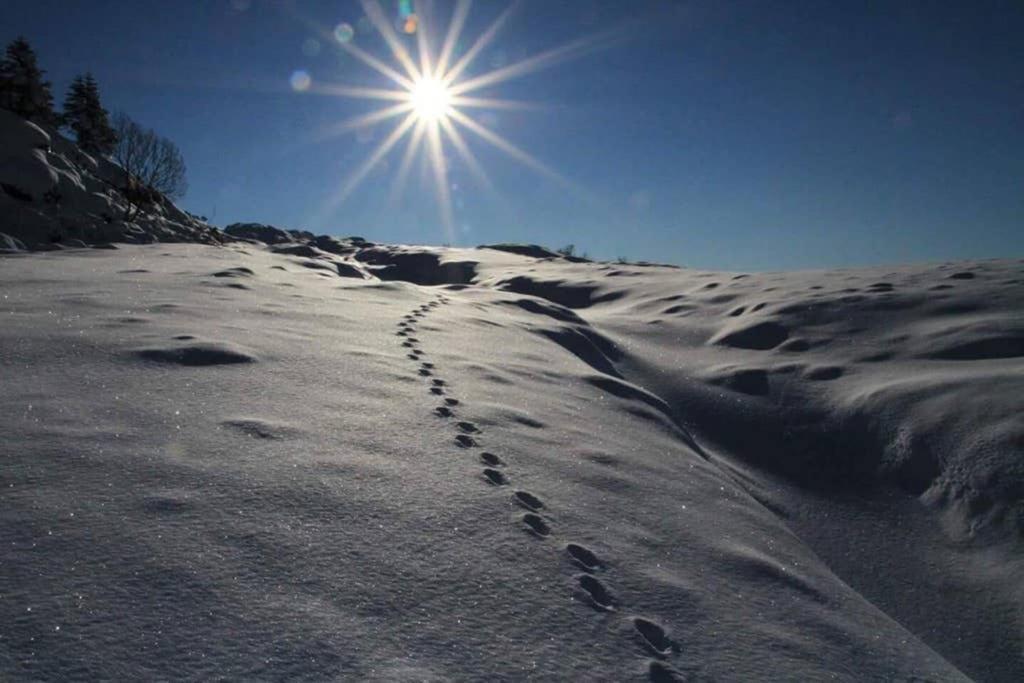Lonevåg Skjerping Gardshus, 빌라 외부 사진